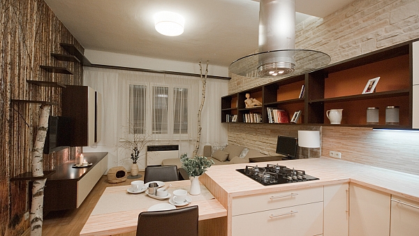 Rekonstruktion einer Wohnung in einem Mietshaus